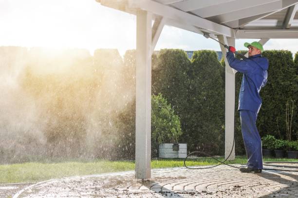 Best Gutter Cleaning  in Abbeville, LA